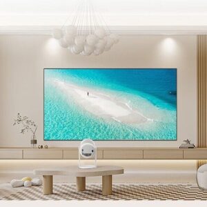 Desktop Monitor